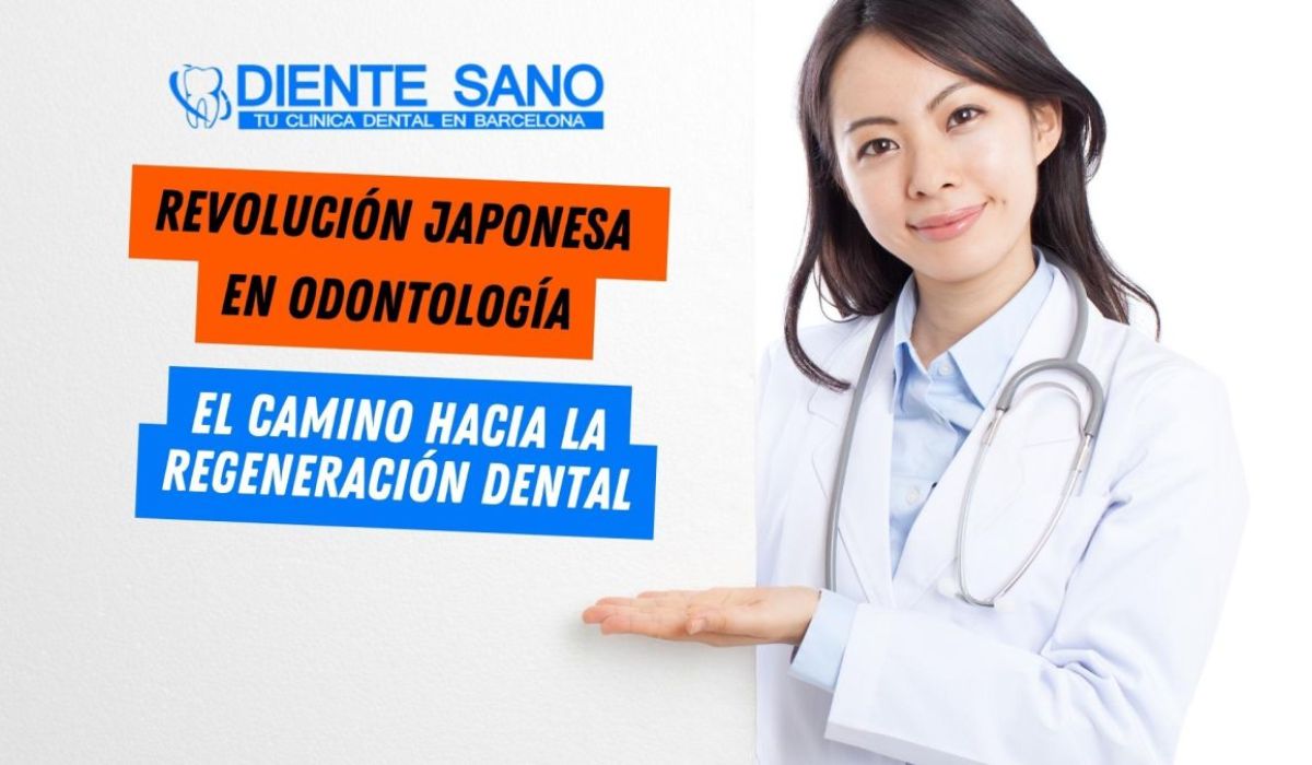 Revolución Japonesa en Odontología: El camino hacia la regeneración dental